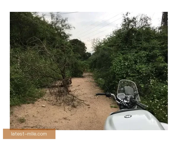 森林队违规遭重罚积分缩水引发联赛新一轮关注